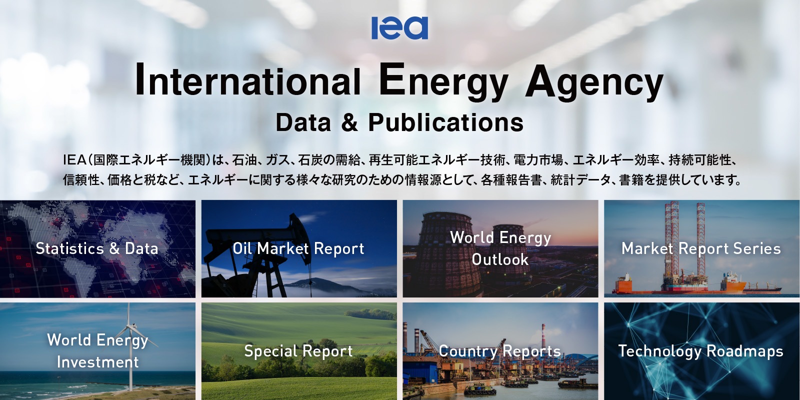 IEA Database