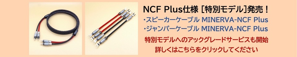 NCF Plus̥ǥȯ