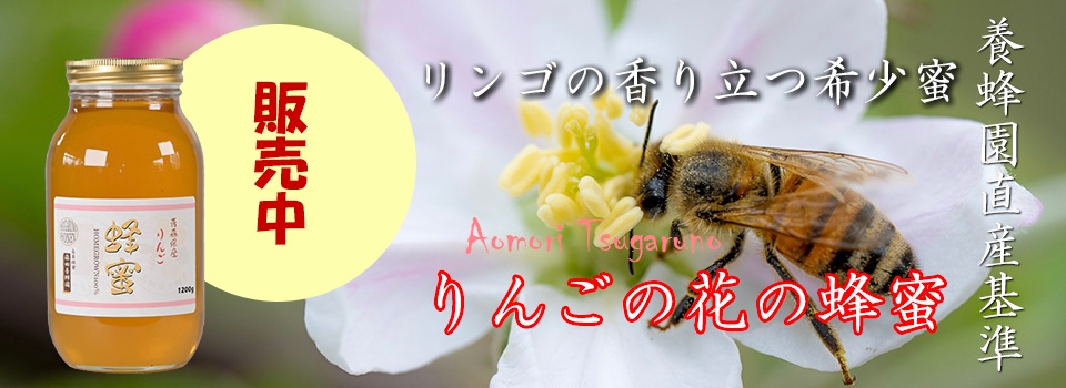 リンゴの花の蜂蜜