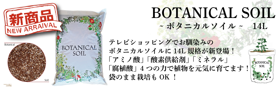botaniacl14