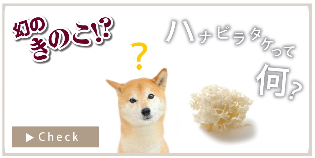 犬猫用サプリメント プロバイオミックス（30包） | サプリメント,プロバイオミックス |ペット用品通販｜ハナビラタケ入りサプリとフードの店  ミネターズドッグフード本店